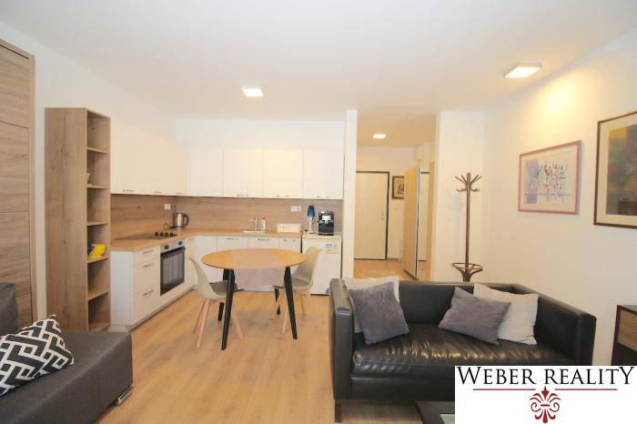 1-bedroom apartment with a kitchen, wooden decor flooring, sofa, and dining table.