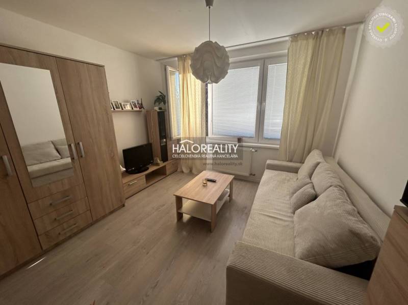 Studio apartment with wood-patterned flooring, a sofa, and a wardrobe.