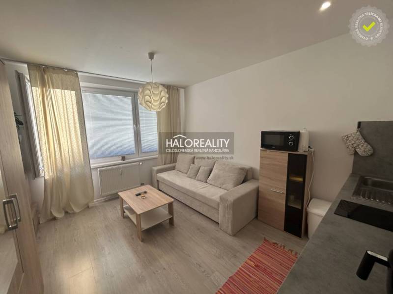 Studio apartment with a sofa and kitchen, decorated with wooden floor decor.