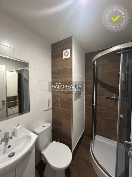 Compact bathroom in a studio apartment with a corner shower and wooden wall decor.
