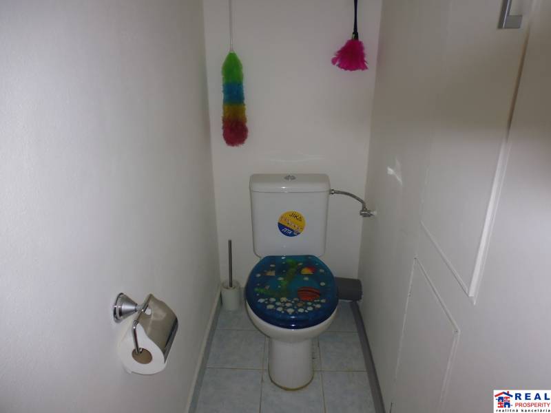 A toilet in a 2-room apartment with colorful decor and cleaning supplies.