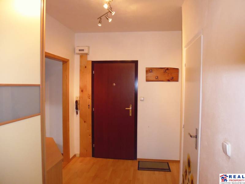 A hallway in a 2-room apartment with a wood-patterned floor and lighting.