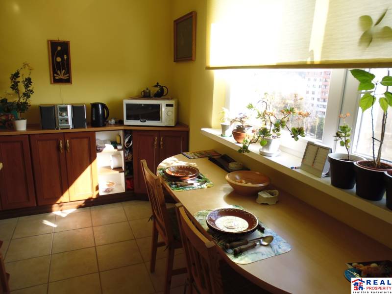 A bright kitchen with wooden decor in a 2-room apartment full of plants.