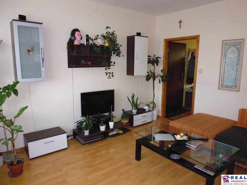 Living room in a 2-room apartment with a wooden decor floor, shelves, and plants.