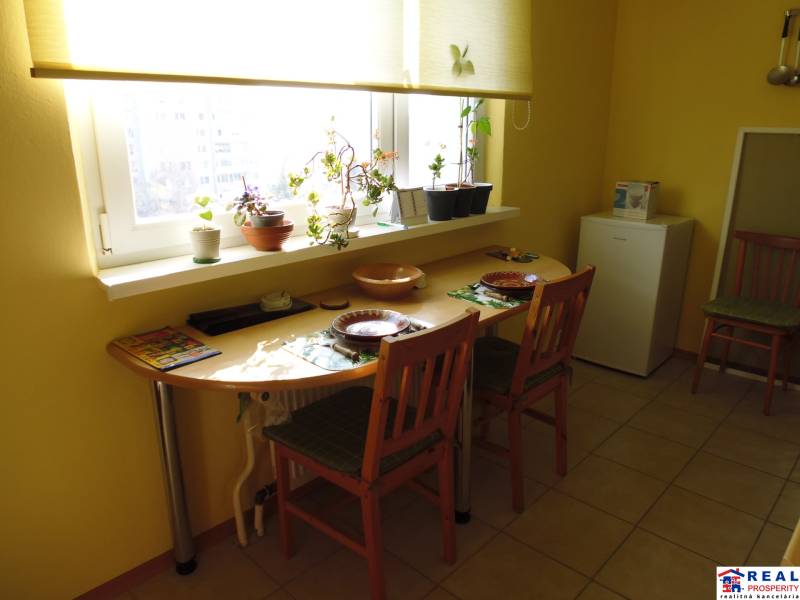 Dining area in a 2-room apartment with a window and plants on the windowsill.