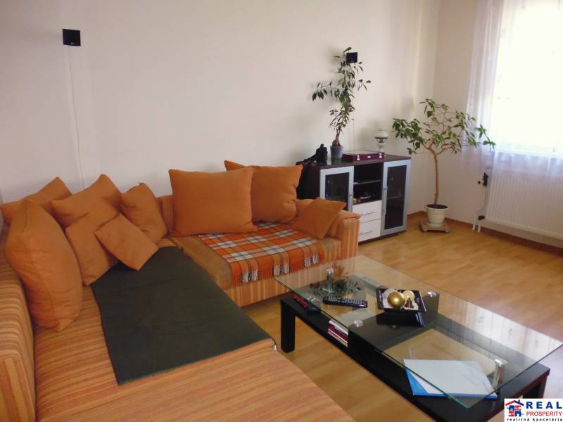 Living room in a two-room apartment with an orange sofa and a wooden decor floor.