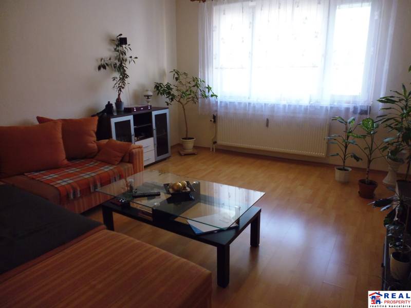 Living room in a 2-room apartment with a wooden decor floor and a comfortable sofa.