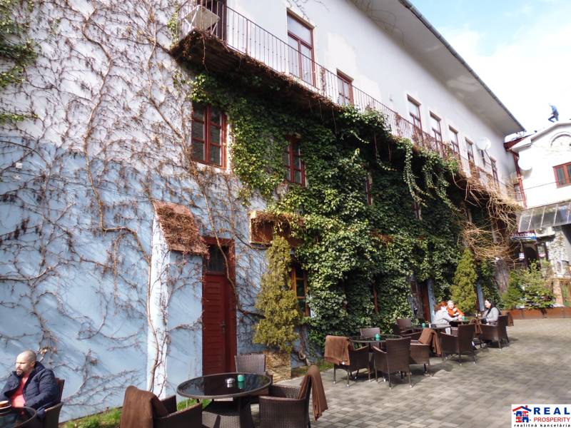 Exterior on Hlavná Street in Prešov with a terrace at a 3-room apartment covered with ivy.