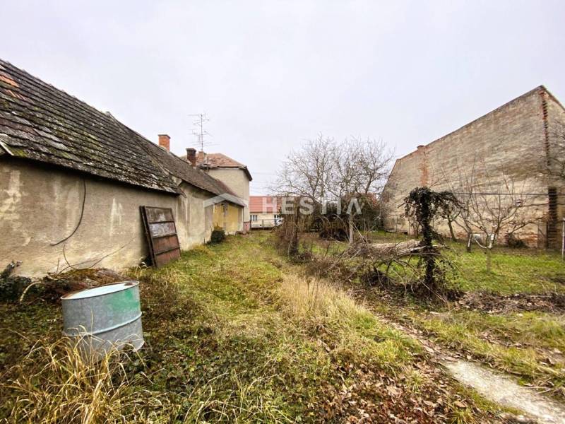An old building with a crumbling roof and a garden with wild growth, a family house in the background.