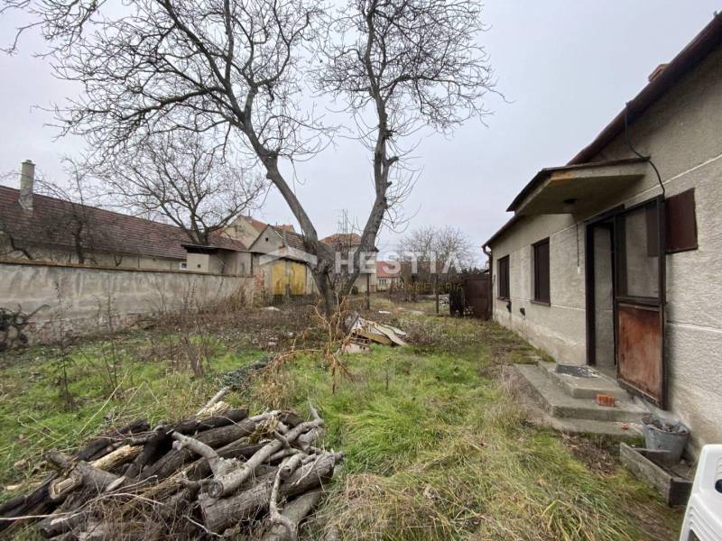 A garden with grass and old wooden logs, next to a family house.