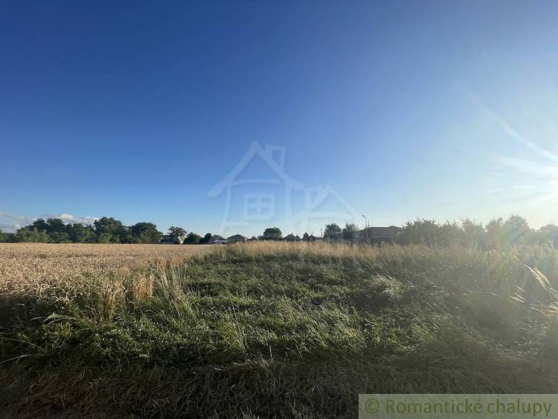 Blue sky over the fields and greenery in the gardens of Jatov during a sunny day.