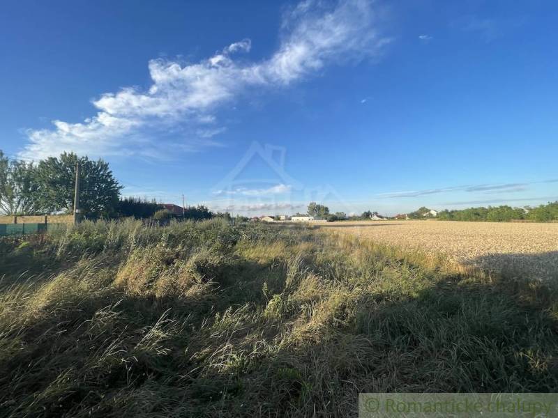 A wide field with grass and sky in Jatov, Záhrady.