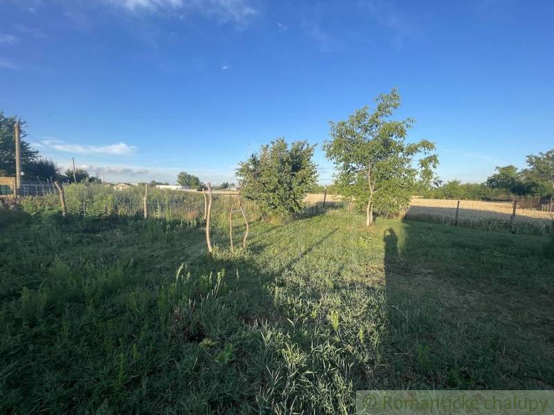 Gardens in Jatov with grassy areas, trees, and a wooden fence under a blue sky.