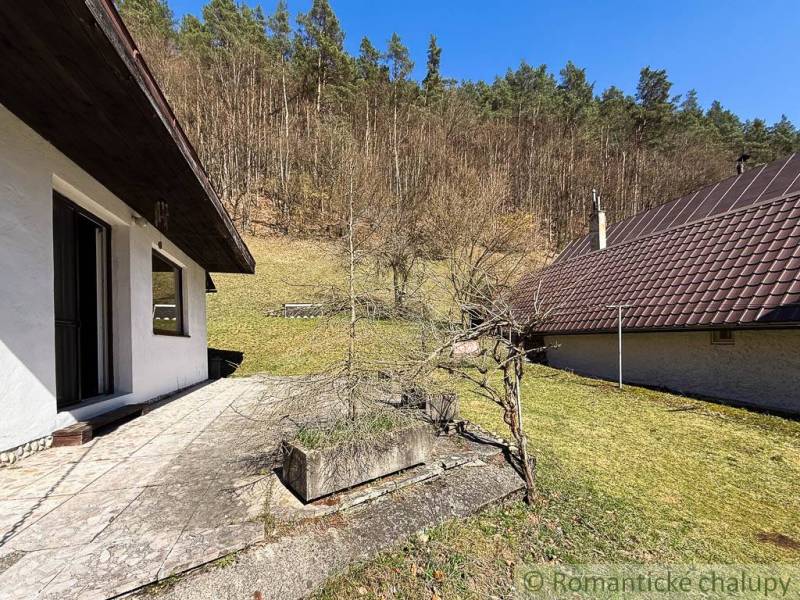 The garden by the cottage in Moštenica with a view of the slope with the forest.