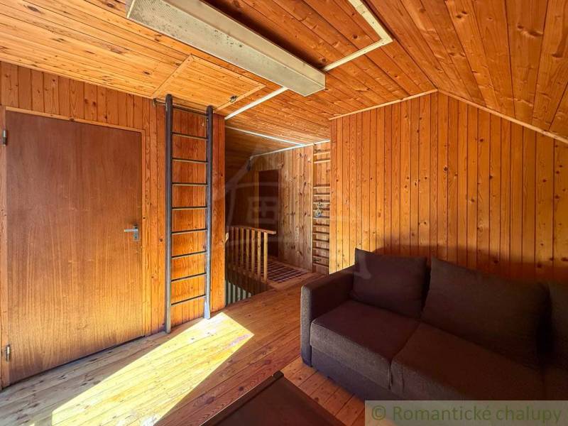 Interior of a cabin with wood-patterned paneling and flooring, a sofa, and a ladder.