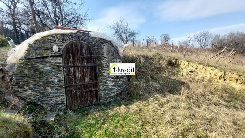 Stone entrance to a cellar surrounded by nature in the vineyards near Zlaté Moravce.