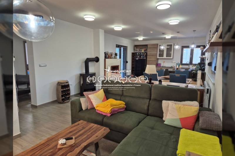 Living room of a family house with a fireplace, sofa, and kitchenette.