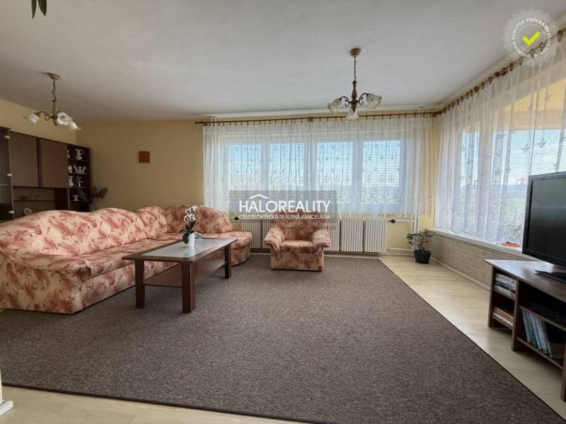 Living room with a carpet, floral sofa, and wood-patterned flooring in a family house.