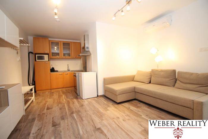 Living room of a studio apartment with a kitchenette and a wooden decor floor.