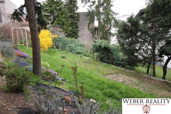 Garden with lawn, trees, and shrubs in Bratislava - Old Town on Lichardova Street.