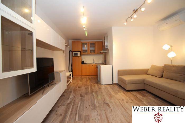 Living room with a kitchenette, sofa, wooden decor flooring, and a television in a studio apartment.