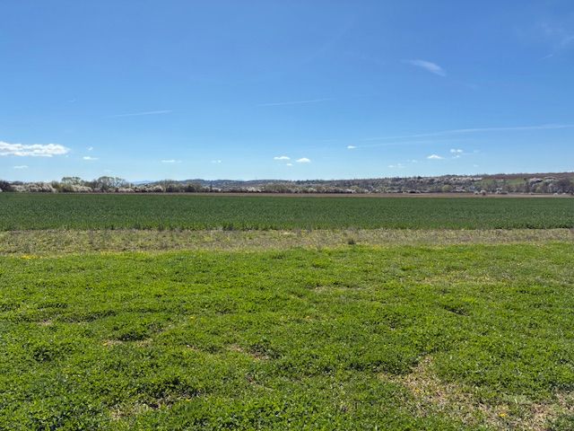 Agricultural and forest land in Dežerice with expansive meadows and a clear sky.