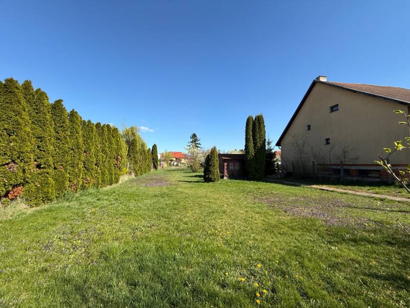 Grassy residential plots in Dvorany nad Nitrou, bordered by conifers and a house.