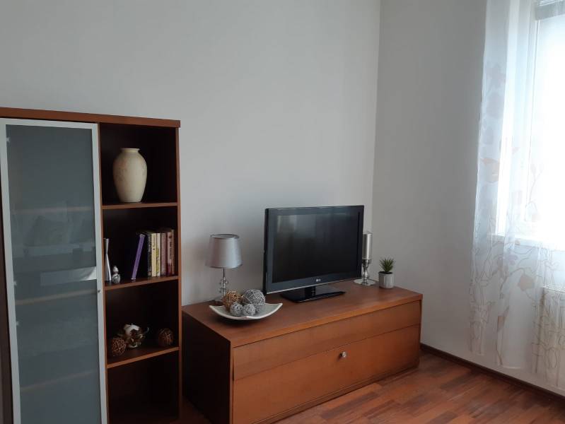 Living room with wood-patterned flooring, a bookshelf, a television, and decorative items.