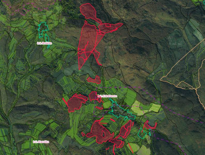 Aerial view of agricultural and forest lands around Kobeliarovo.