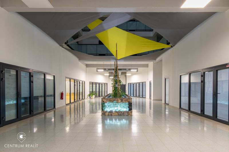 Office space with a plant, glass doors, and colorful ceiling decoration.