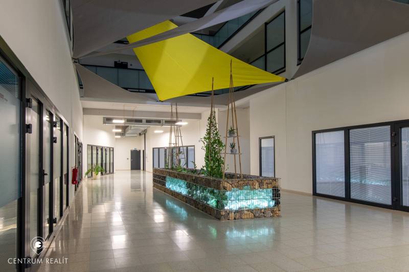 A hallway with plants and geometric curtains in a 2-room apartment.