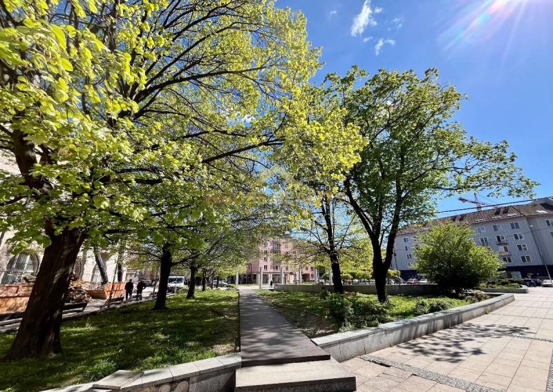 Greenery and trees at Dulovo Square in Bratislava - Ružinov with sunny weather.