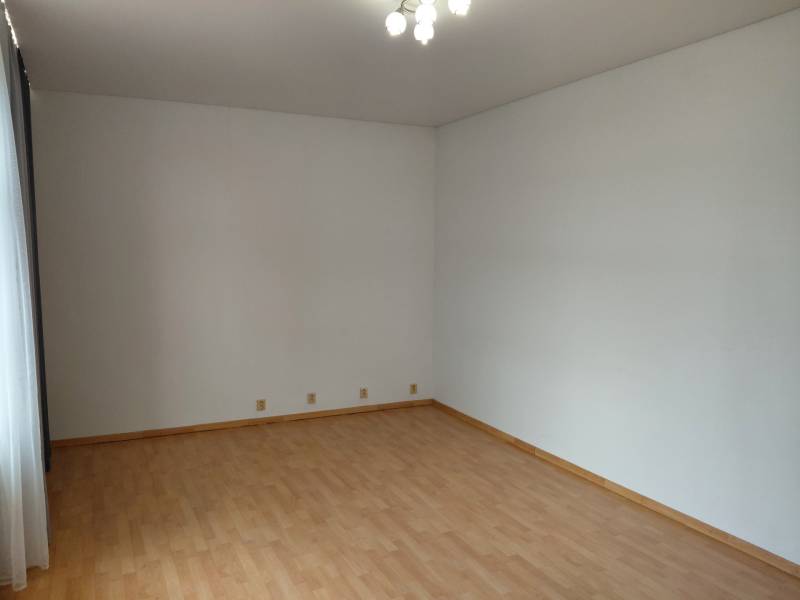 Commercial spaces with wood-patterned flooring, white walls, and lighting.