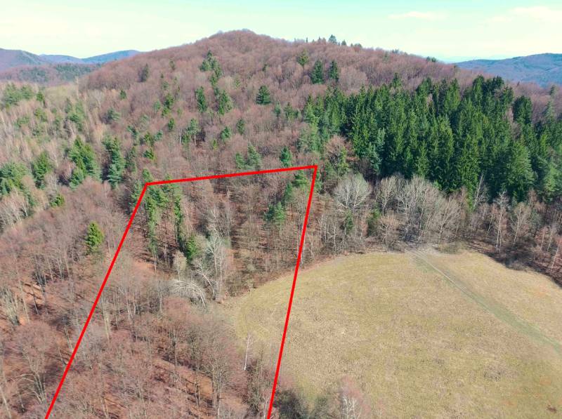 Lysá pod Makytou offers a view of agricultural and forest land bordered by a red line.