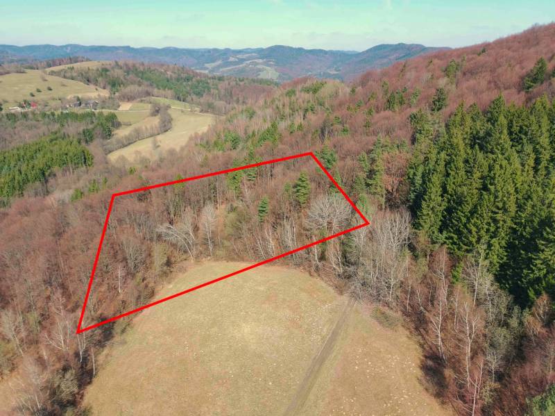 View of forest areas in Lysá pod Makytou, bordered by a red rectangle.