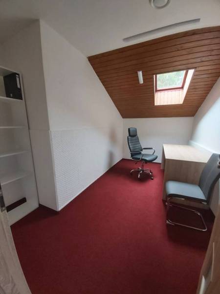 Offices with a red carpet and a ceiling window, a white wall, and wooden ceiling decor.