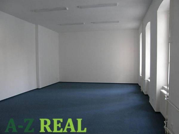 Spacious offices with blue carpet and large windows.