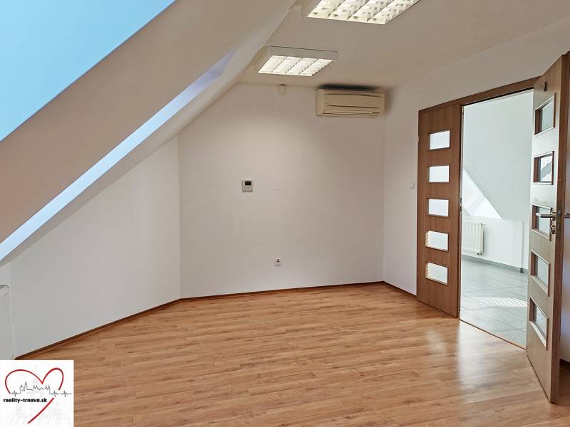Attic offices with wood-decor flooring, air conditioning, and a skylight.