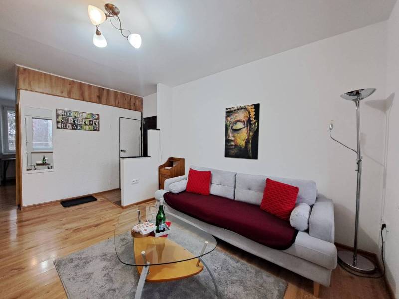 Living room in a 2-room apartment with a sofa, wooden decor, and an art painting.