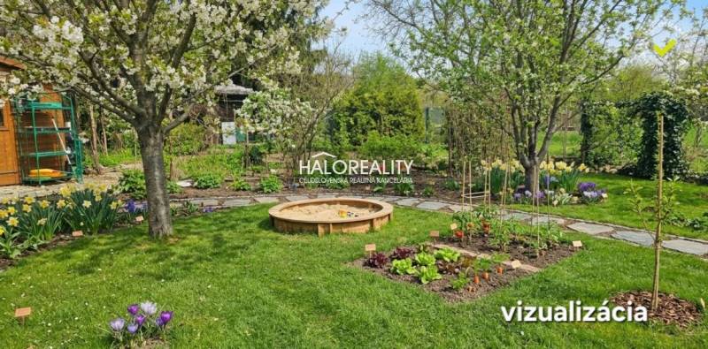 Gardens in Galanta full of flowers, vegetables, and blooming fruit trees.