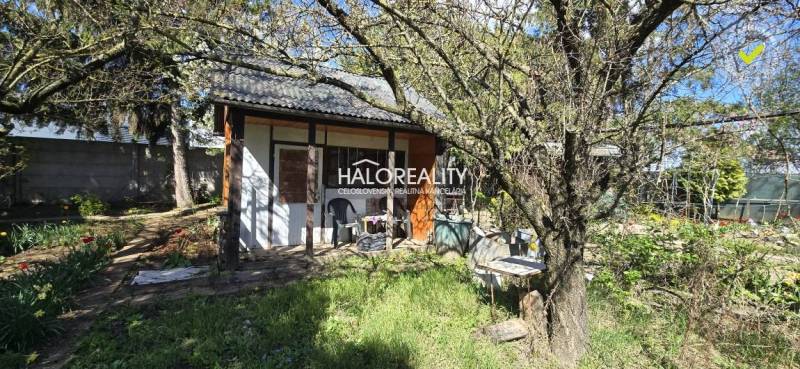 Gardens in Galanta with a cottage surrounded by trees and flowers in spring.