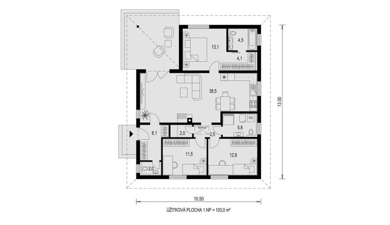 Floor plan of a family house with an area of 103 m², 3 rooms, kitchen, terrace, bathroom.