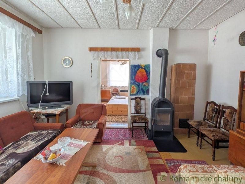 Living room in a family house with a fireplace, television, and sofa.