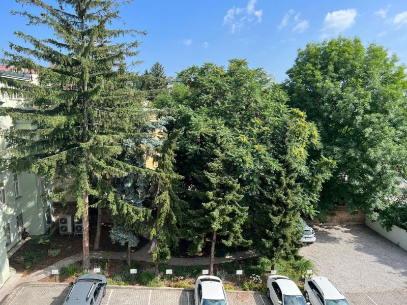 Greenery around the parking lot on Štefánikova Street, next to the office, with cars.