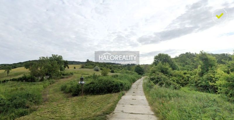 A path in the green gardens of Hlohovec, surrounded by grass and trees, under a cloudy sky.