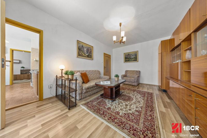Living room with wood-patterned flooring, sofa, and carpet in a 3-room apartment.