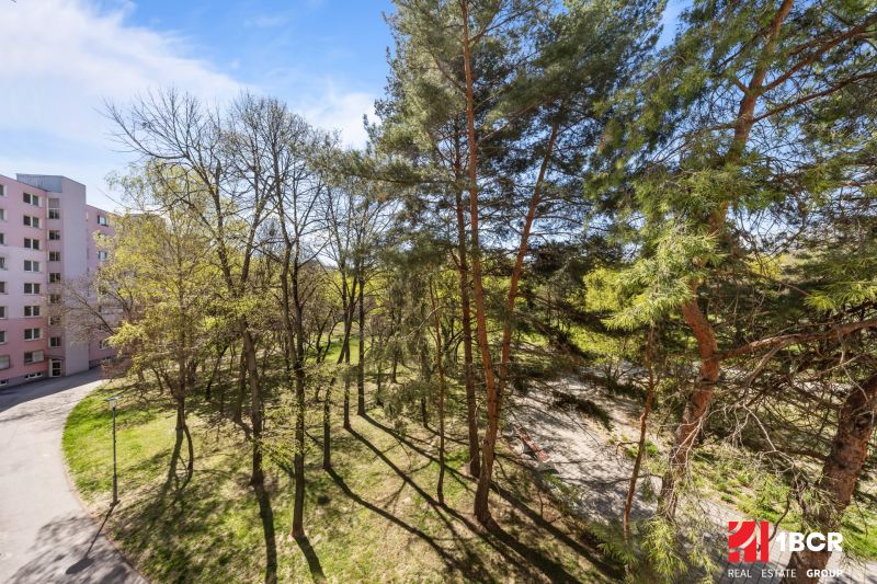 A view of a park full of trees near Estonian Street, Bratislava - Podunajské Biskupice.