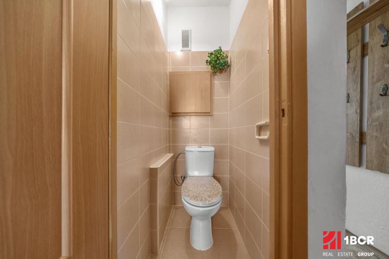 A toilet in a 3-room apartment with tiles and light-colored tiles, a plant on the wall.