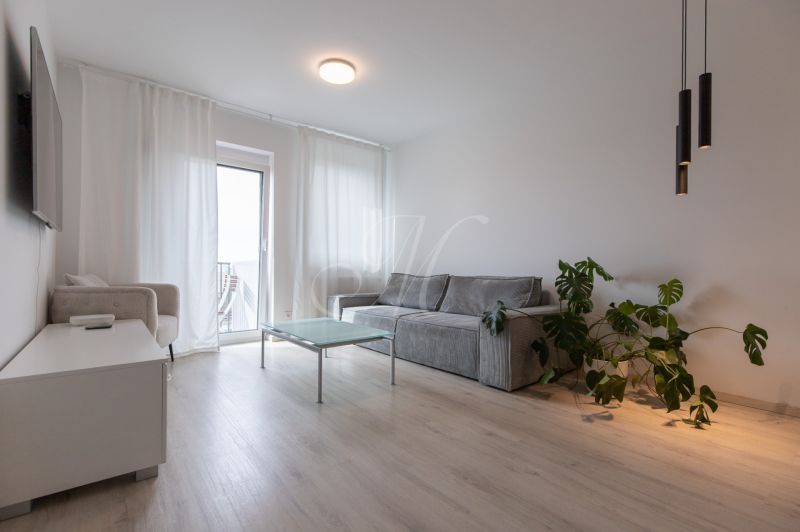 Living room in a two-room apartment with a sofa, table, and wooden decor flooring.