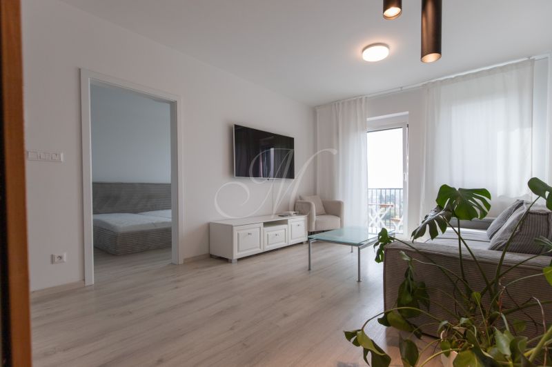 Living room in a two-room apartment with a wood-patterned floor and a balcony.